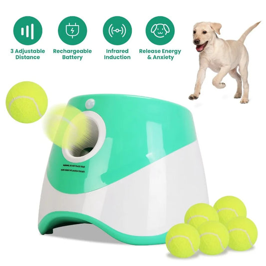 Hign Concerned Automatic Dog Ball Launcher 6 Tennis Balls