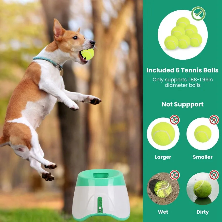 Hign Concerned Automatic Dog Ball Launcher 6 Tennis Balls