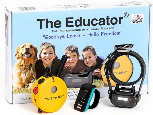 Humane Dog Training Collar With Remote 100 Levels Night Light
