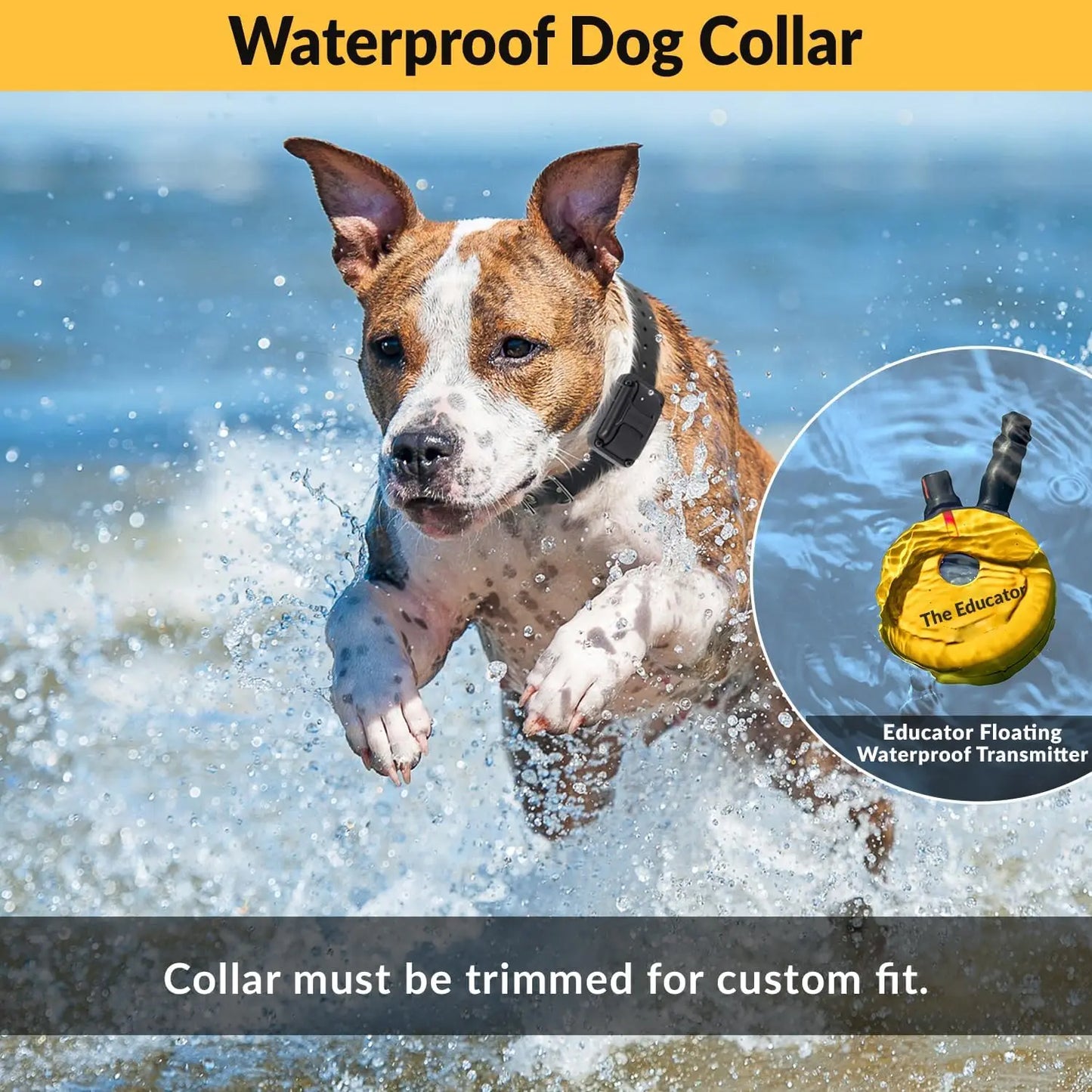 Humane Dog Training Collar With Remote 100 Levels Night Light