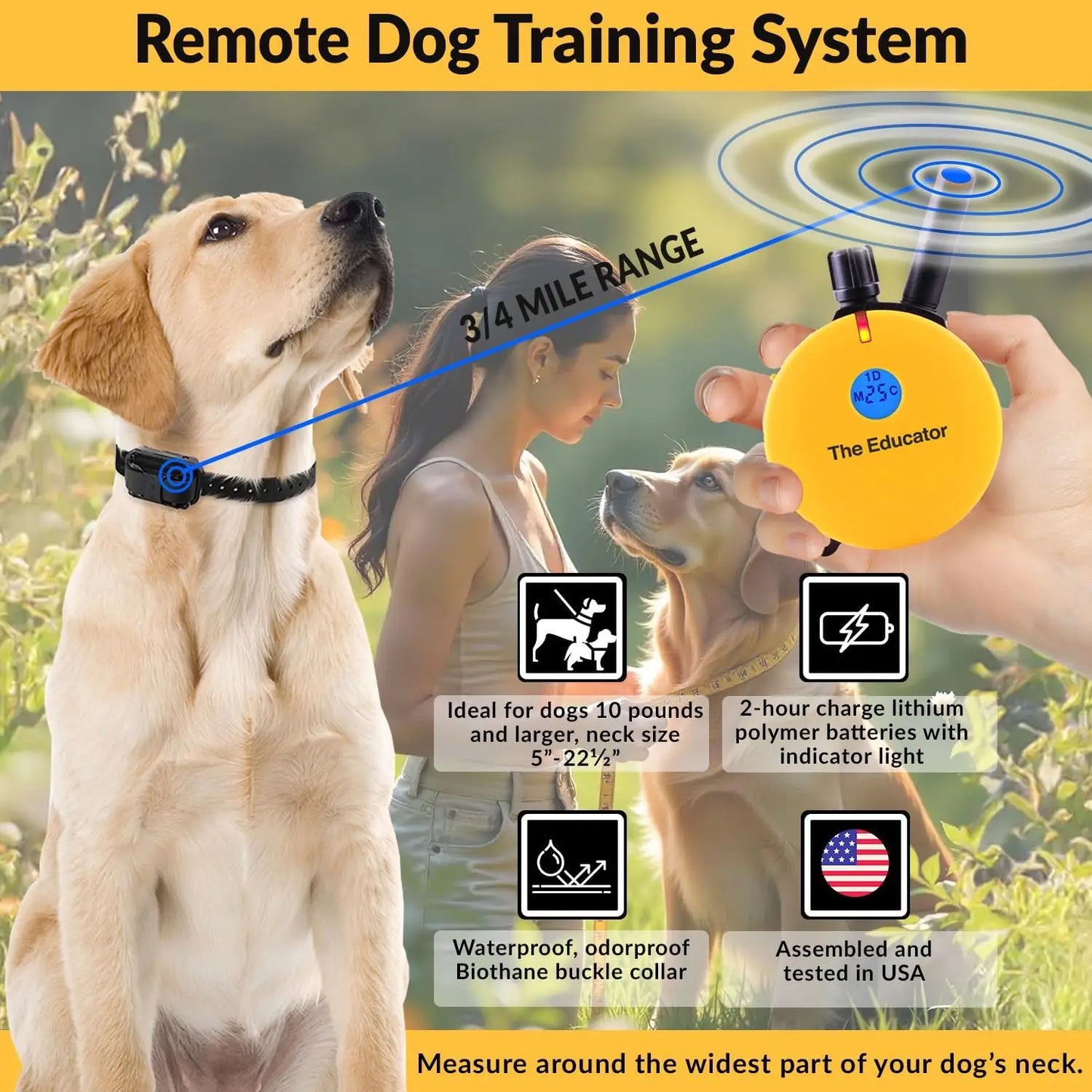 Humane Dog Training Collar With Remote 100 Levels Night Light