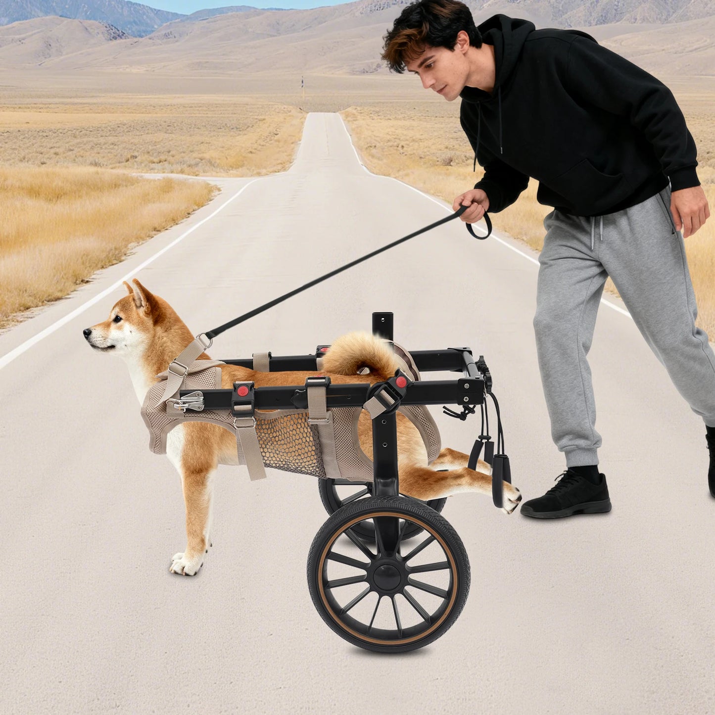 Bymaocar Adjustable Pet Trolley Dog Wheelchair Hind-Leg Support