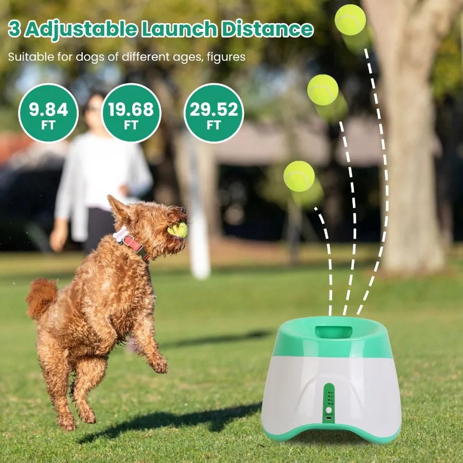 Hign Concerned Automatic Dog Ball Launcher 6 Tennis Balls