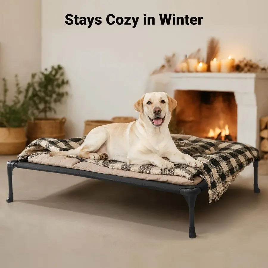 Outdoor Elevated Dog Bed Raised Cooling Breathable Platform For Dogs