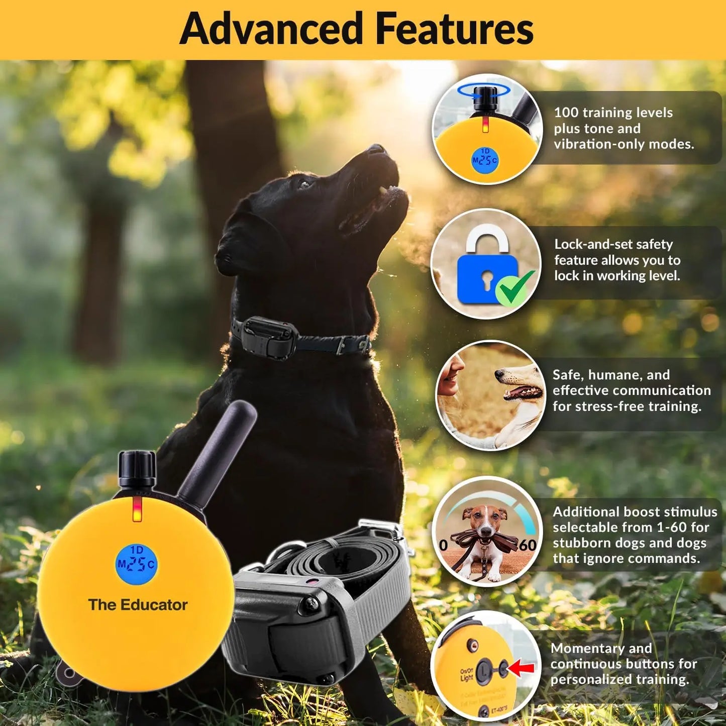 Humane Dog Training Collar With Remote 100 Levels Night Light