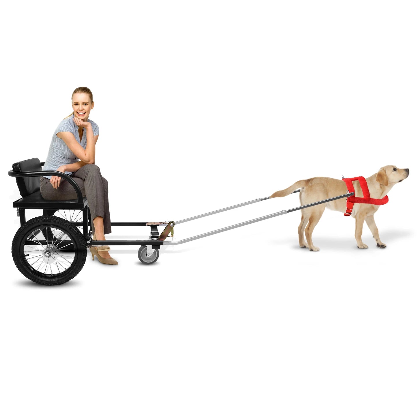 Dog Walking Car Pet Stroller With Seat And Dual Brakes